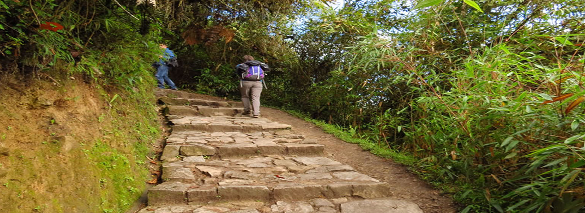 Salkantay Trek to Machu Picchu 4 days return by bus last day