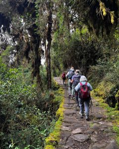 Inca Trail Original to MachuPicchu The Qhapaq Ñan (INKA TRAIL) or royal road to machu picchu original
